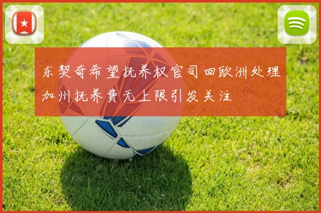 东契奇希望抚养权官司回欧洲处理加州抚养费无上限引发关注